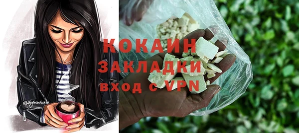 кокс Алексин