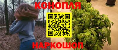 трава Гатчина