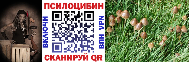 Псилоцибиновые грибы ЛСД  Добрянка 
