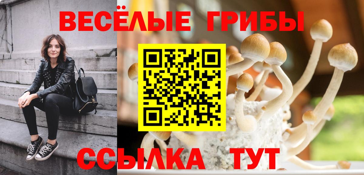 Псилоцибиновые грибы MAGIC MUSHROOMS Добрянка