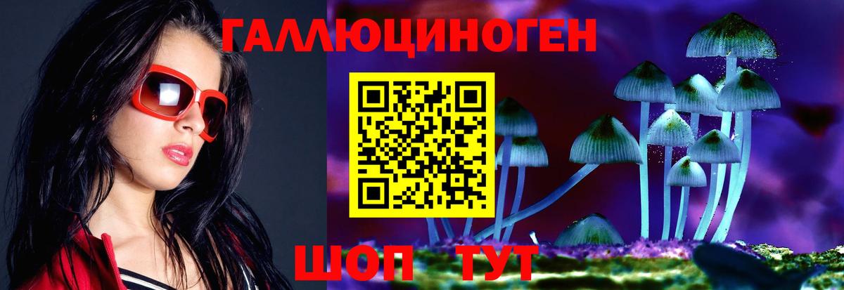 Галлюциногенные грибы Psilocybe  Вход с VPN  что такое наркотик  Добрянка  Галлюциногенные грибы Psilocybine cubensis 